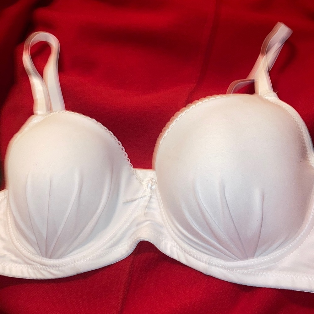 SEXY AND SWEET WERE THE BOBBIE BROOKS BRAS FOR THE FULL FIGURED.